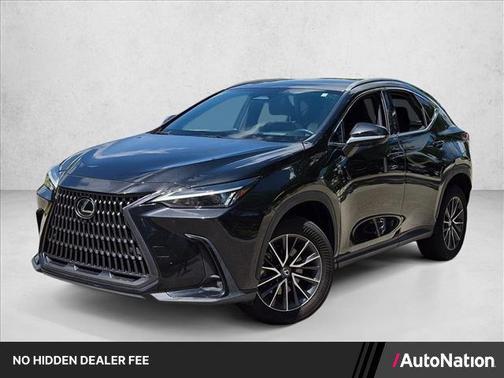Cloudburst Gray 2024 Lexus NX 350 Premium