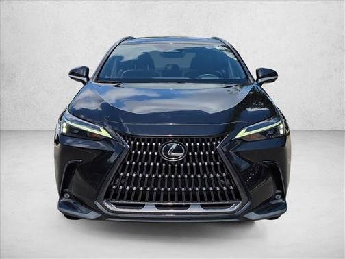 Cloudburst Gray 2024 Lexus NX 350 Premium