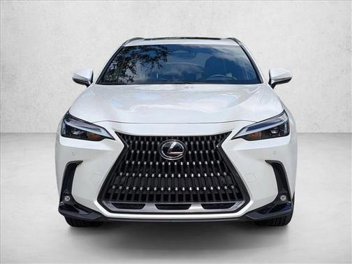 2023 Lexus NX 250 Premium