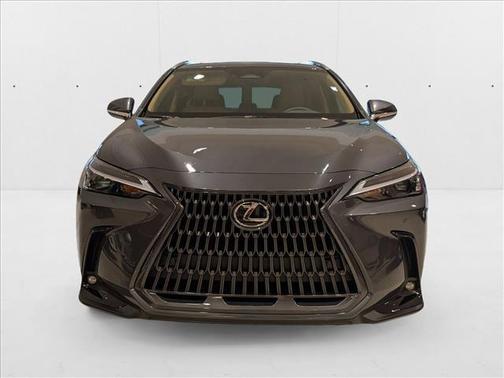 2025 Lexus NX 250 Premium