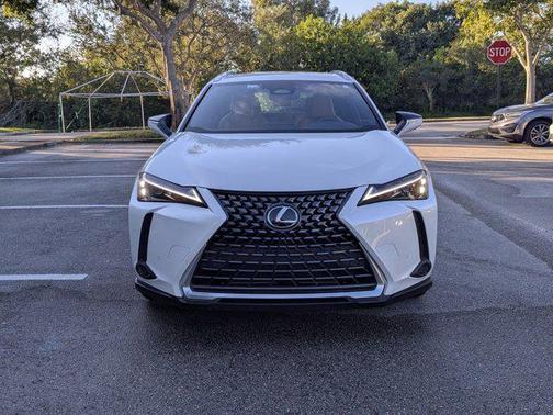 2025 Lexus UX 300h Premium