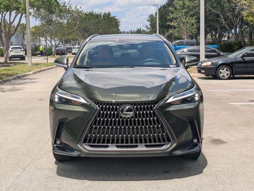 2025 Lexus NX 250 Base
