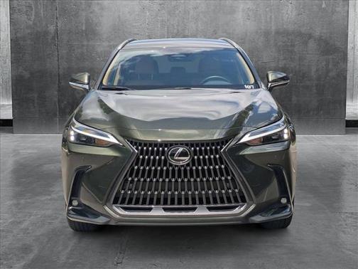 2025 Lexus NX 250 Base
