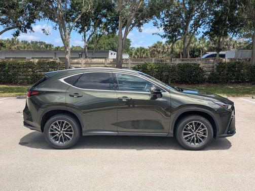 2025 Lexus NX 250 Base