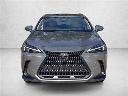 2024 Lexus NX 250 Premium