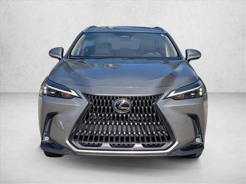 2025 Lexus NX 250 Premium