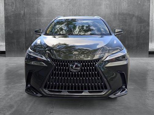 2025 Lexus NX 250 Premium