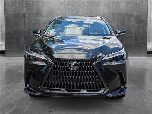 2025 Lexus NX 250 Premium
