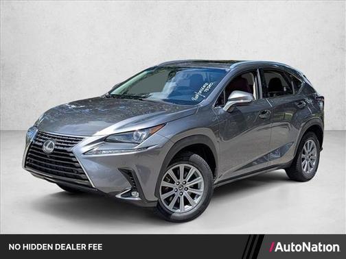 Nebula Gray Pearl 2019 Lexus NX 300 Base