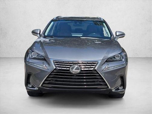 Nebula Gray Pearl 2019 Lexus NX 300 Base