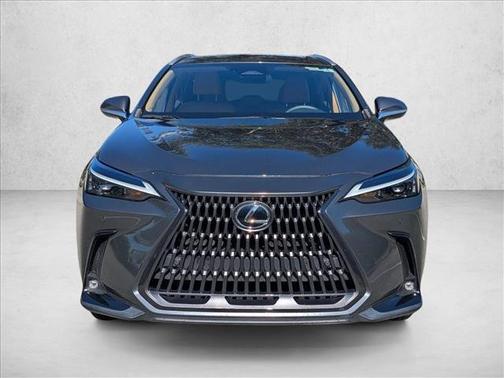 2023 Lexus NX 350 Premium