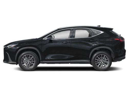 2025 Lexus NX 250 Base