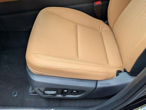 2025 Lexus NX 250 Base