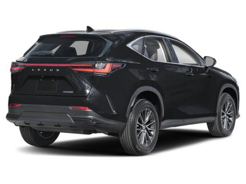 2025 Lexus NX 250 Base