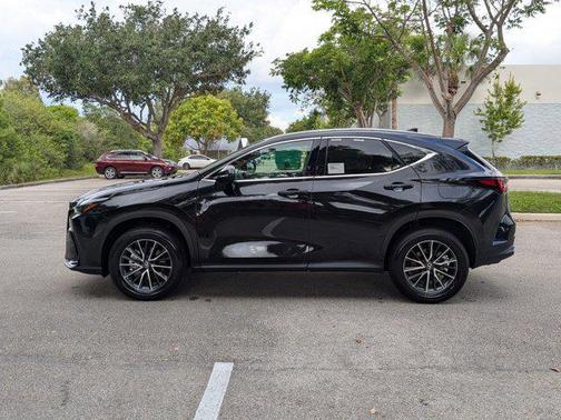 2025 Lexus NX 250 Base