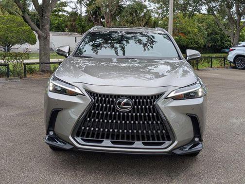 2025 Lexus NX 250 Premium
