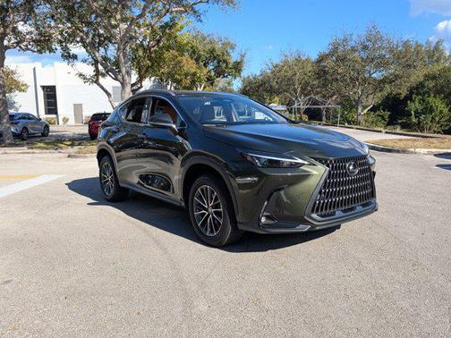 2025 Lexus NX 250 Premium