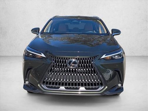 2025 Lexus NX 250 Premium
