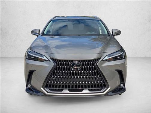 2025 Lexus NX 250 Premium