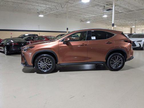 2025 Lexus NX 250 Base