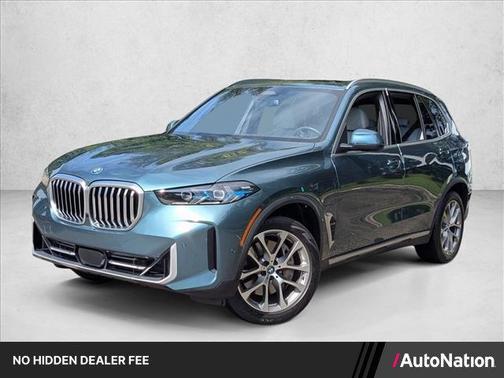 Blue Ridge Mountain Metallic 2024 BMW X5 PHEV xDrive50e