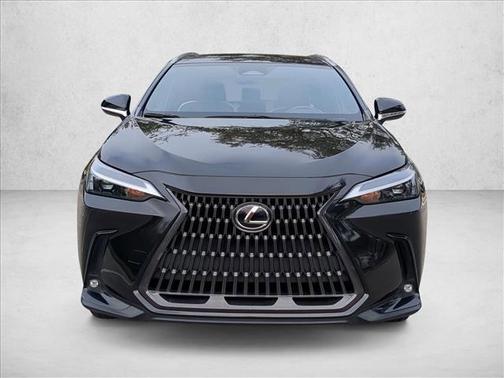 2023 Lexus NX 250 Base