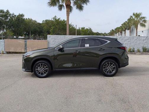 2025 Lexus NX 250 Premium