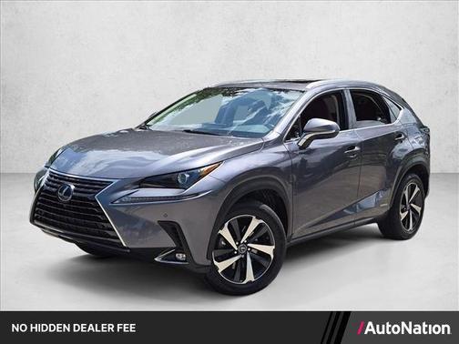 Nebula Gray Pearl 2021 Lexus NX 300h Base