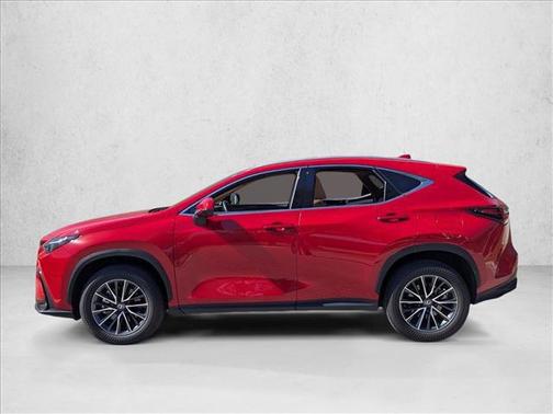 2025 Lexus NX 250 Premium