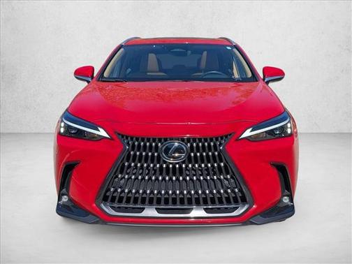 2025 Lexus NX 250 Premium
