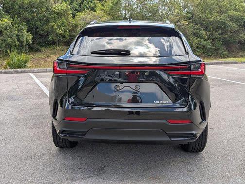 2024 Lexus NX 250 Premium