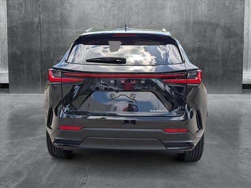 2024 Lexus NX 250 Premium