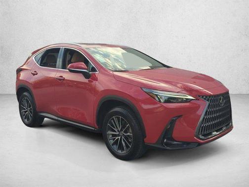 Redline 2025 Lexus NX 250 Premium