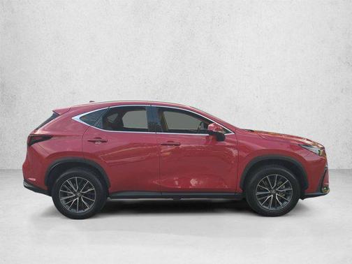Redline 2025 Lexus NX 250 Premium