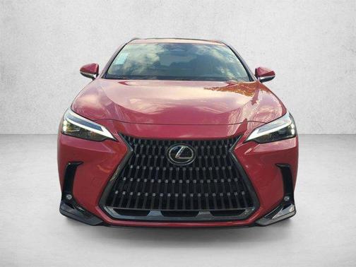 Redline 2025 Lexus NX 250 Premium
