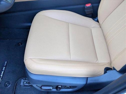 2025 Lexus NX 250 Premium