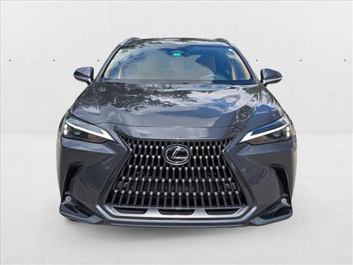 2024 Lexus NX 250 Premium