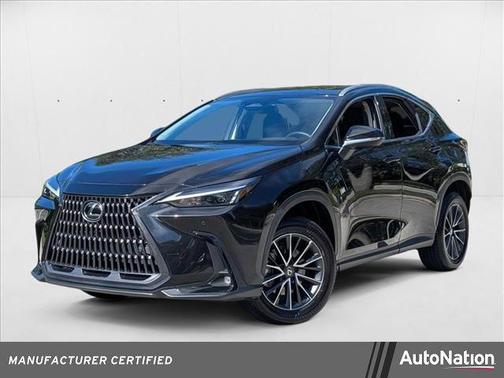 2025 Lexus NX 250 Premium