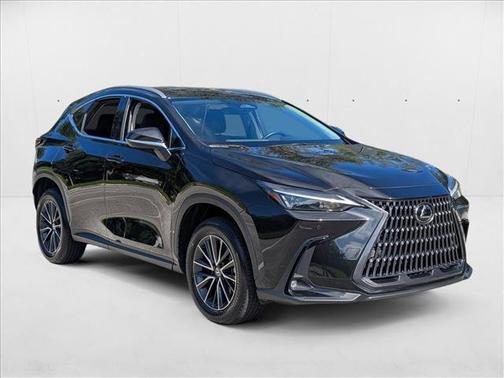 2025 Lexus NX 250 Premium