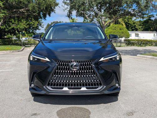 2025 Lexus NX 250 Premium