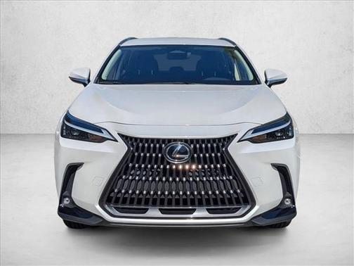 2023 Lexus NX 250 Base