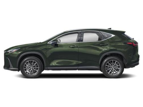 2025 Lexus NX 250 Base