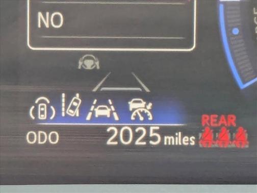 Iridium 2025 Lexus RZ 300e RZ 300e Premium