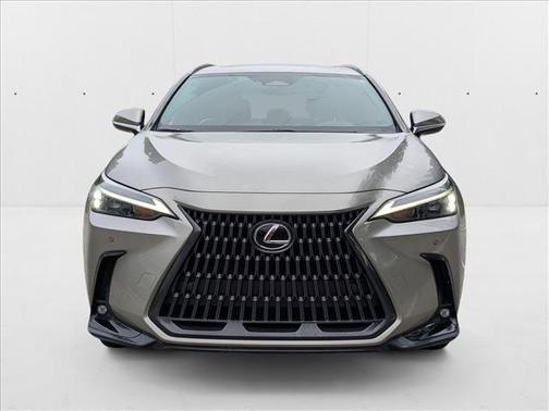 2023 Lexus NX 350h Premium