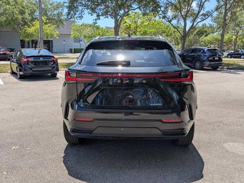 2024 Lexus NX 250 Base