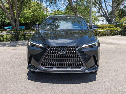 2024 Lexus NX 250 Base