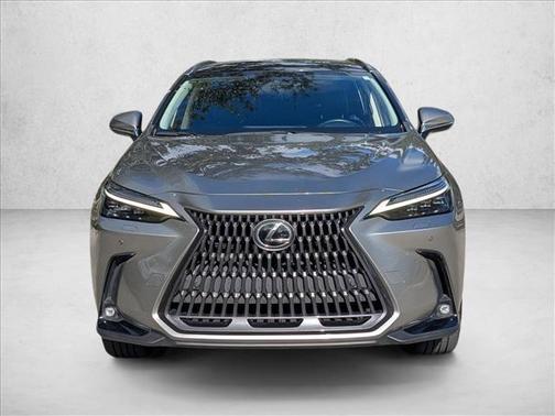 2023 Lexus NX 350h Luxury