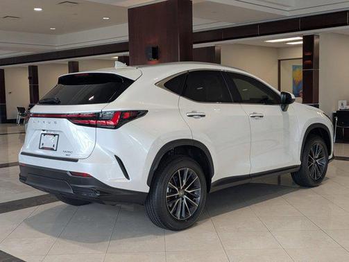 2025 Lexus NX 350 Premium