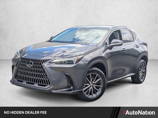 Cloudburst Gray 2024 Lexus NX 250 Premium