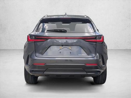Cloudburst Gray 2024 Lexus NX 250 Premium